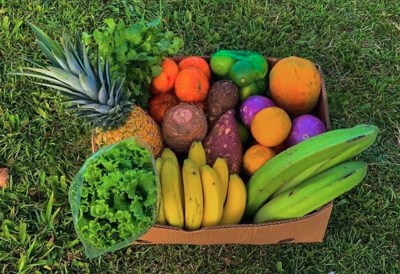 Viandas, Frutas y Verduras