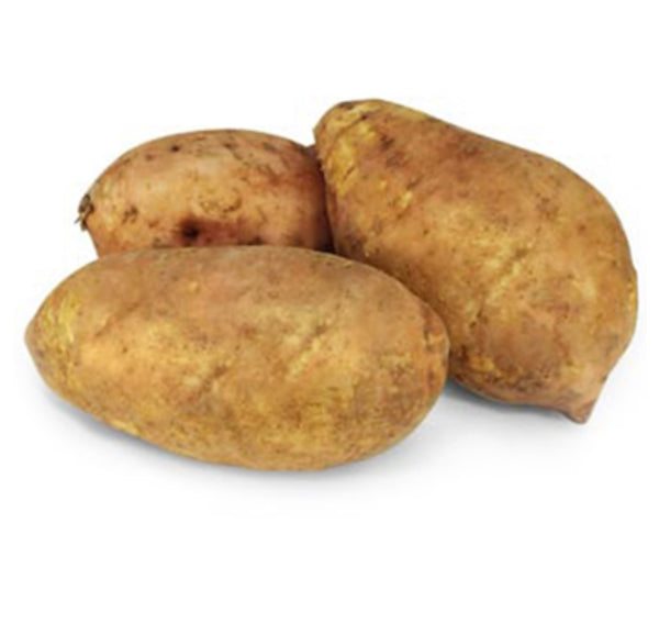 Batata Amarilla de PR 1.5 LB